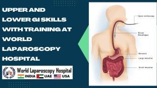 Mastering Endoscopy: Enhance Your Upper and Lower GI Training at World Laparoscopy Hospital