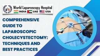 Exploring the World Laparoscopy Hospital Laparoscopic Training Institute